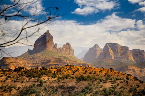 'ethiopia' Search .